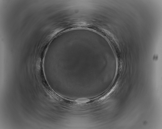 X0000099991161200806131428