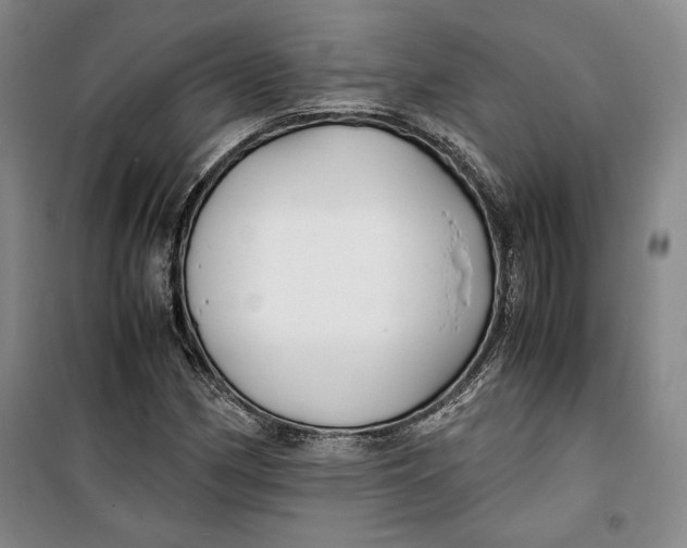 X0000099991162200806131428