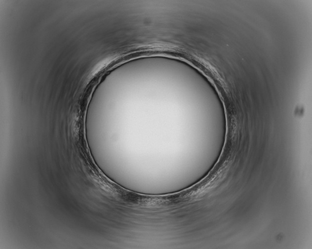 X0000099991163200806131428