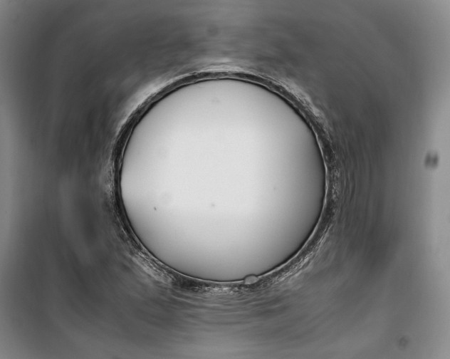 X0000099991167200806131428