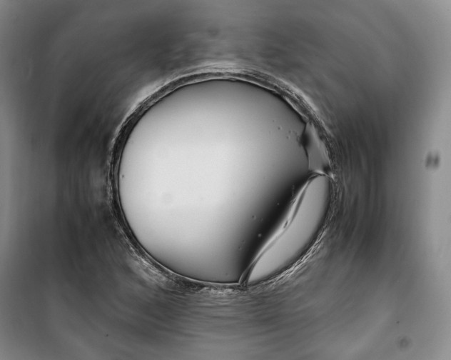 X0000099991168200806131428