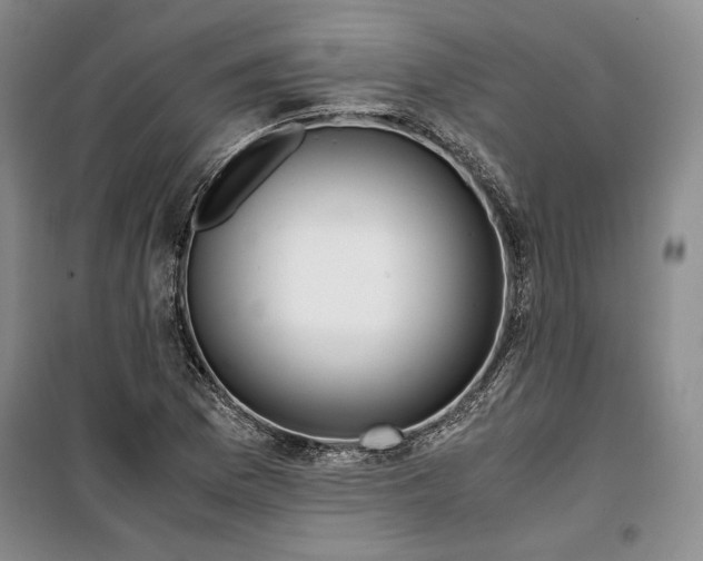 X0000099991169200806131428