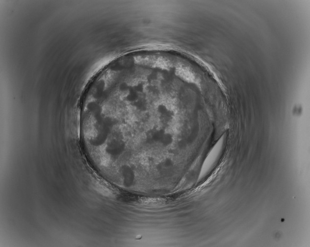 X0000099991171200806131428