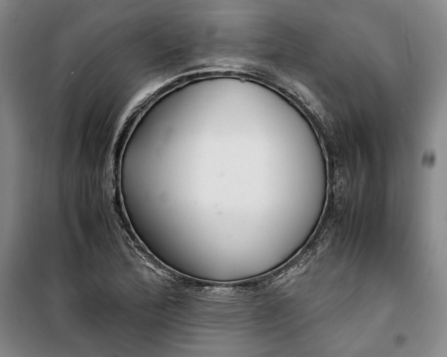 X0000099991172200806131428