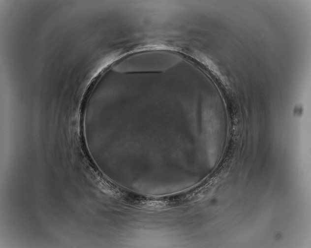 X0000099991173200806131428