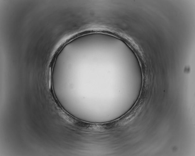 X0000099991175200806131428