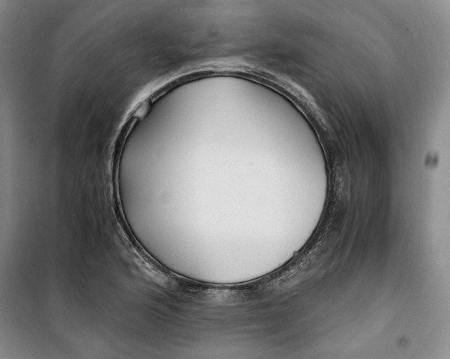 X0000099991176200806131428