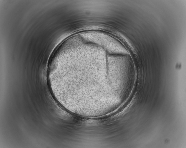 X0000099991178200806131428