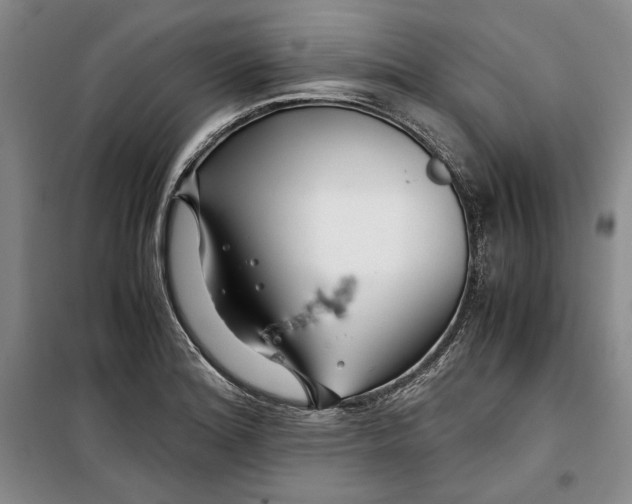 X0000099991180200806131428