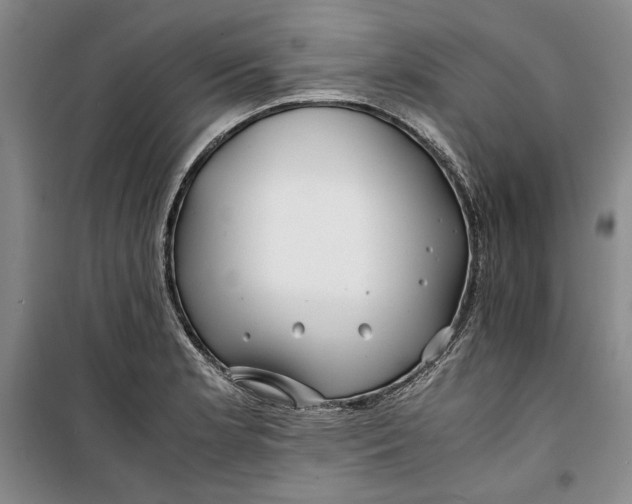 X0000099991181200806131428