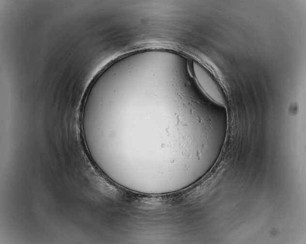 X0000099991182200806131428