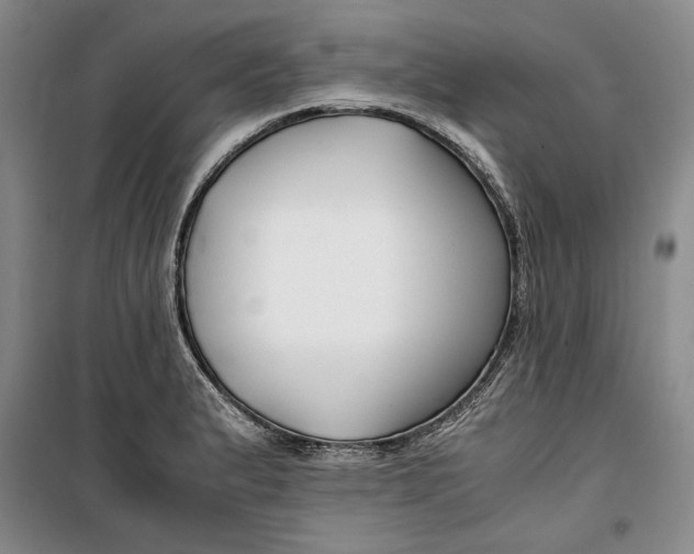 X0000099991183200806131428