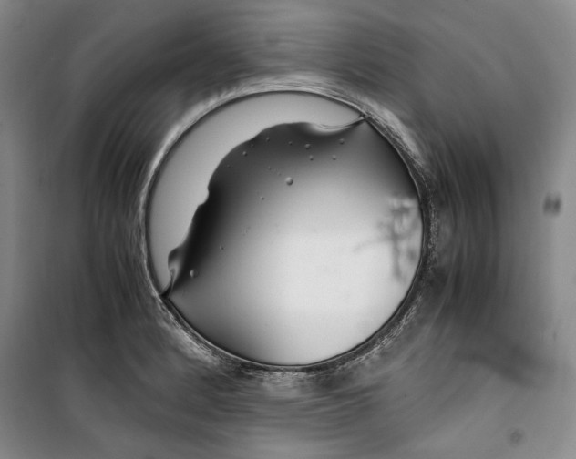 X0000099991184200806131428