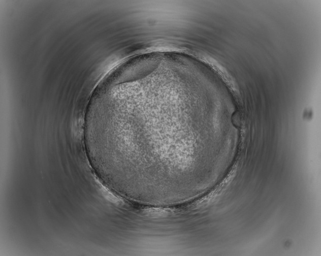 X0000099991185200806131427