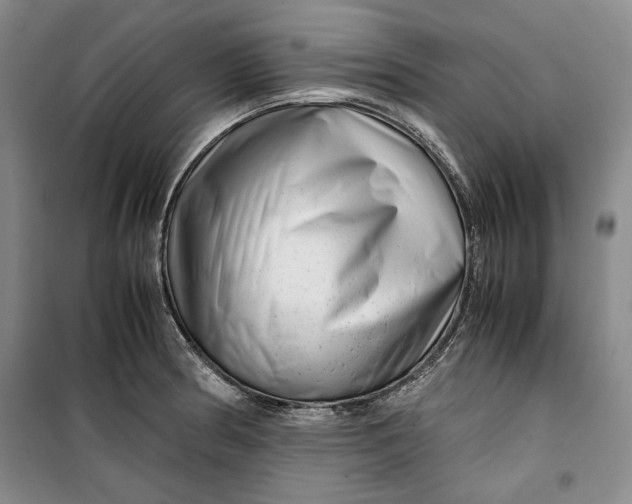 X0000099991186200806131427