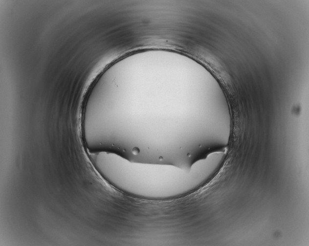 X0000099991188200806131427