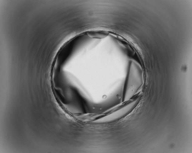 X0000099991189200806131427