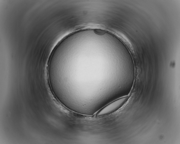 X0000099991190200806131427