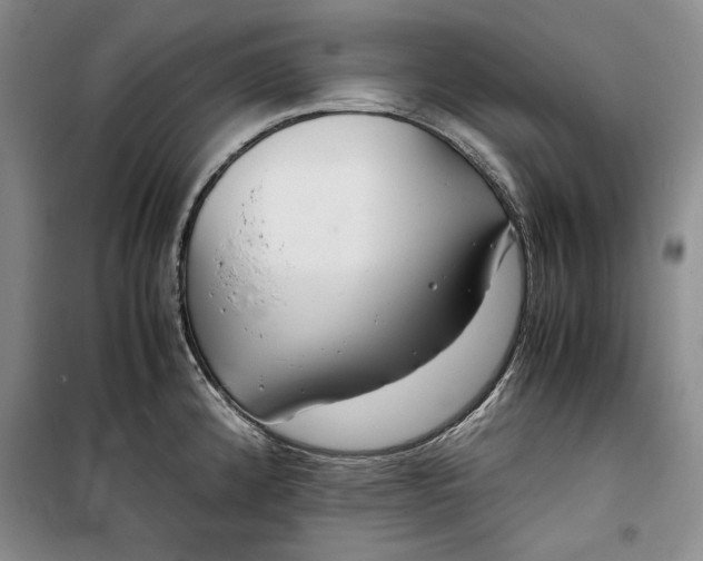 X0000099991192200806131427