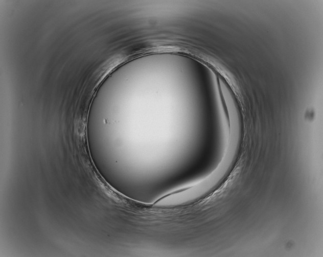 X0000099991193200806131427