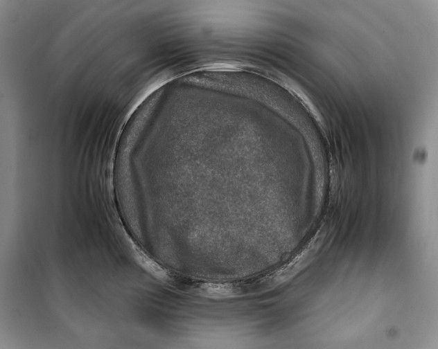 X0000099991194200806131427