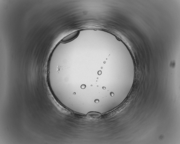 X0000099991195200806131427