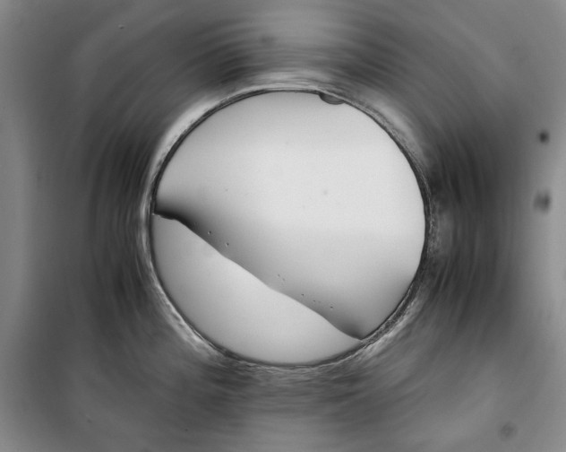 X0000099991196200806131427