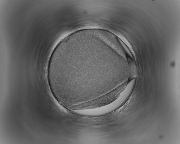 X0000099991197200806131427