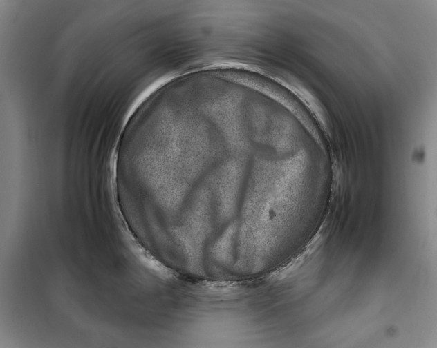 X0000099991198200806131427