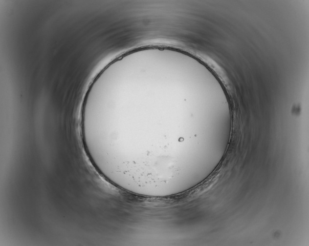 X0000099991199200806131427