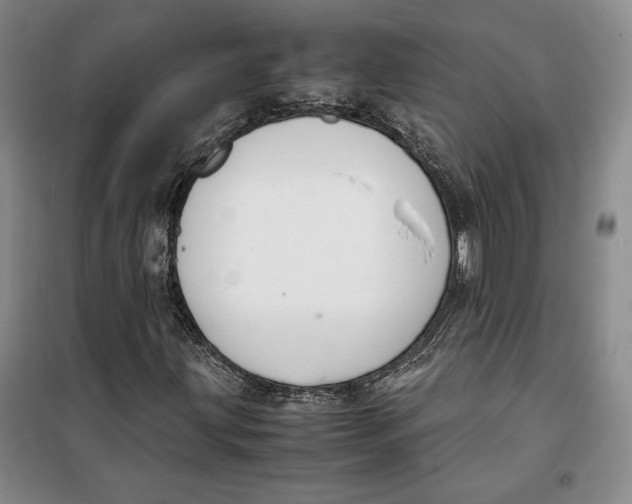 X0000099991203200806131427