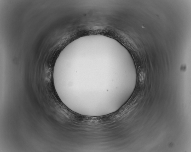 X0000099991204200806131427