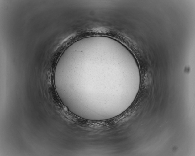 X0000099991205200806131427