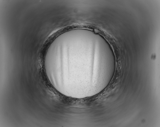 X0000099991206200806131427