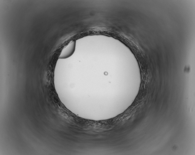 X0000099991207200806131427