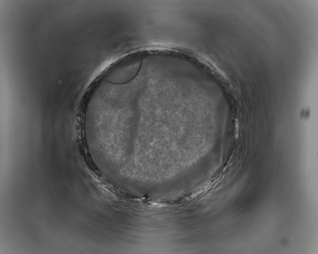 X0000099991208200806131427