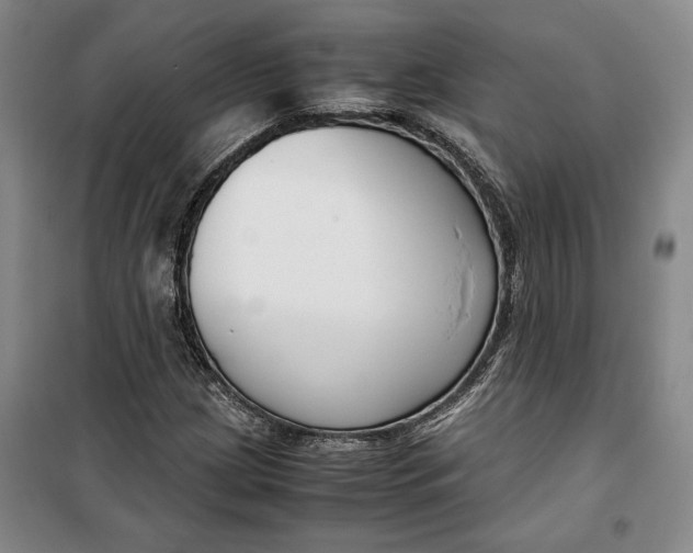 X0000099991209200806131427