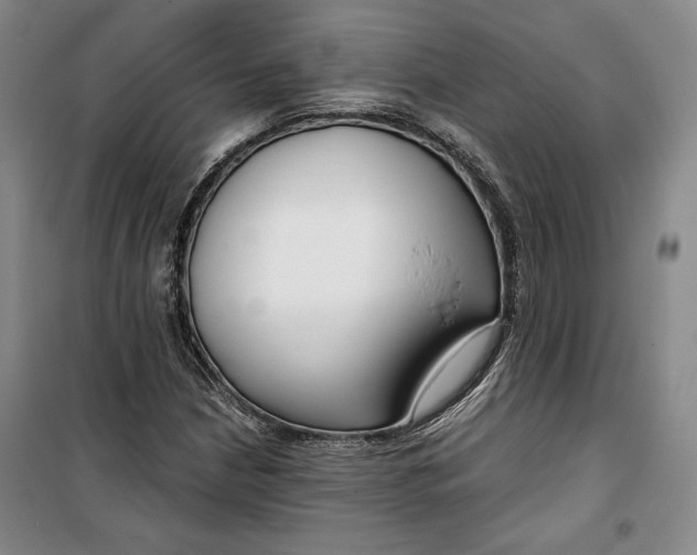 X0000099991210200806131427