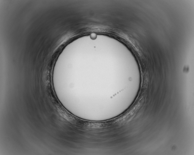 X0000099991211200806131427