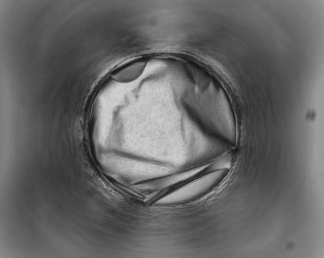 X0000099991212200806131427