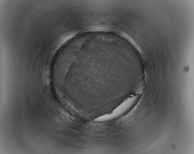 X0000099991213200806131427