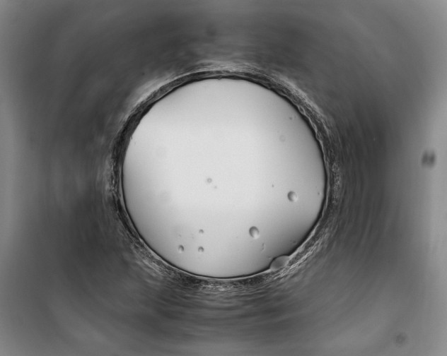 X0000099991215200806131427