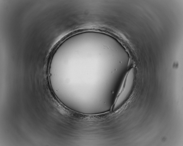 X0000099991216200806131427