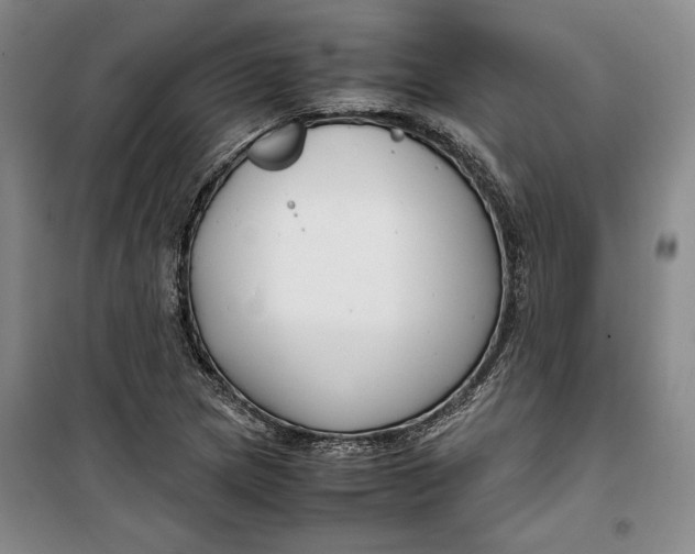 X0000099991217200806131427