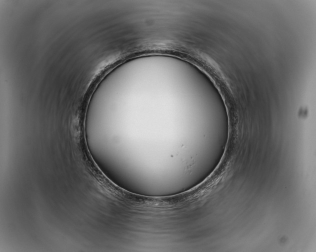 X0000099991218200806131427