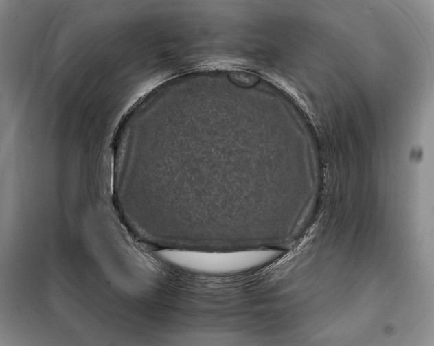 X0000099991219200806131427