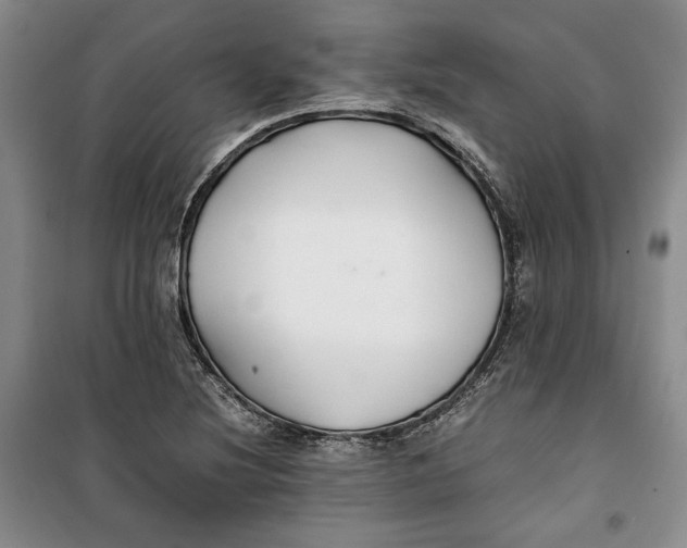 X0000099991220200806131427