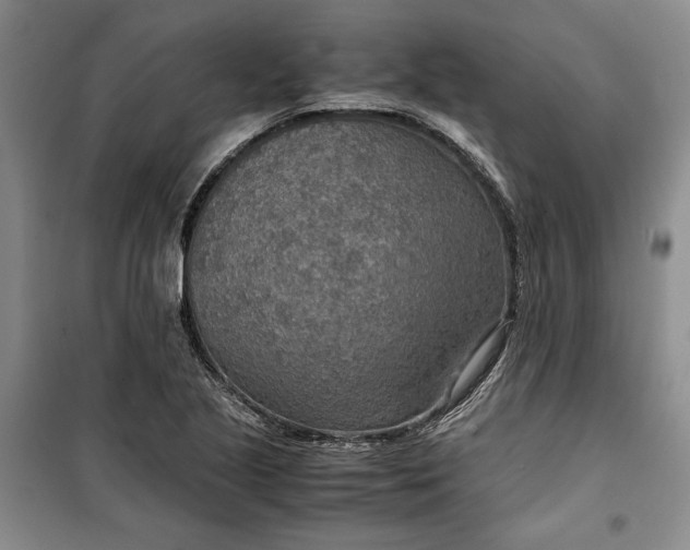 X0000099991221200806131427