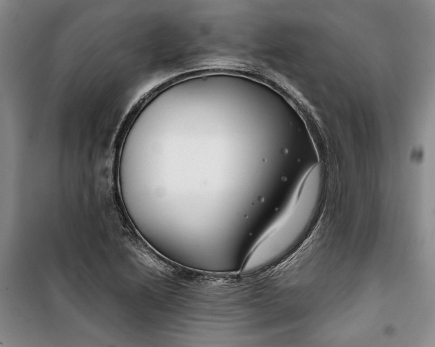 X0000099991222200806131427