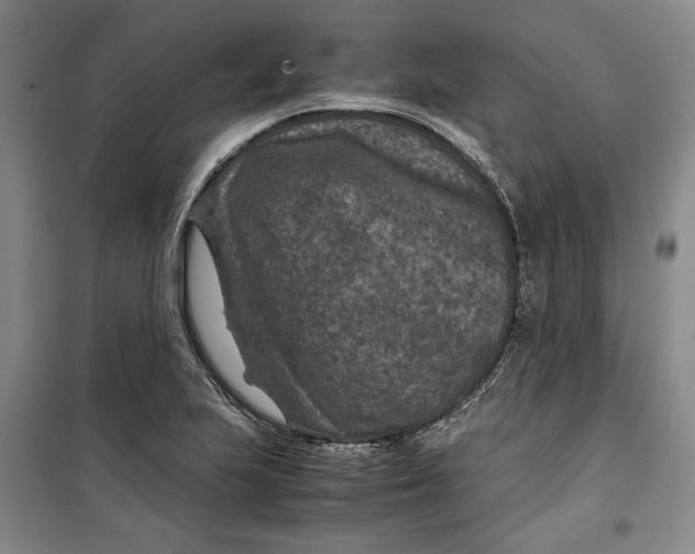 X0000099991223200806131427